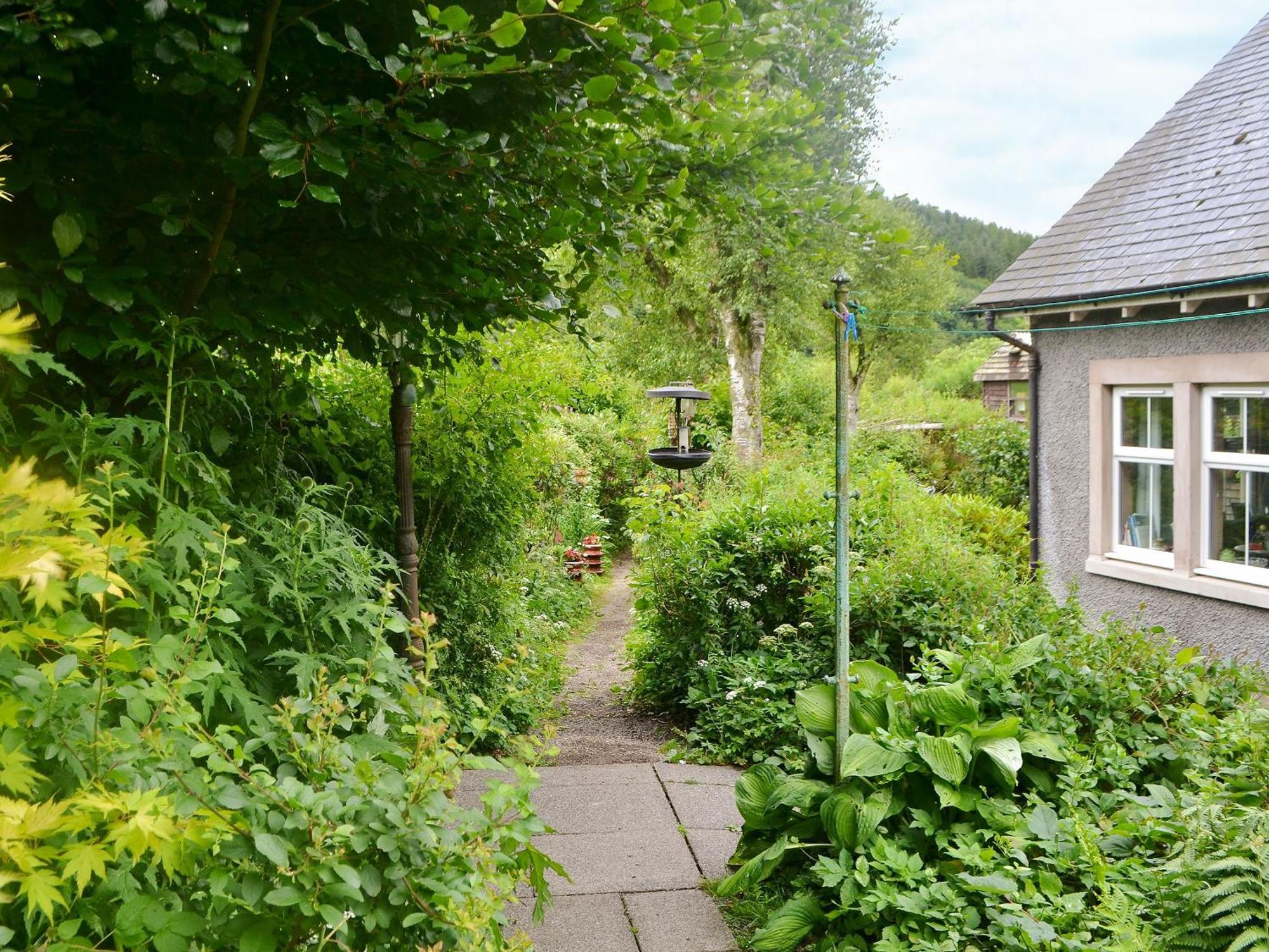 The Cottage Blackwood  Extérieur photo